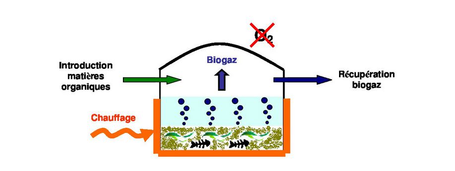 Schéma de la méthanisation