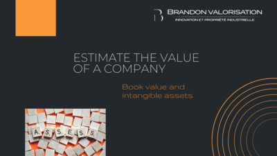 Estimate the value of a company_Brandon Valorisation