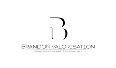Vignette 2 Brandon Valorisation
