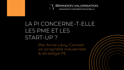 La propriété intellectuelle concerne-t-elle les PME et les startup-BRANDON VALORISATION conseil en innovation a Paris