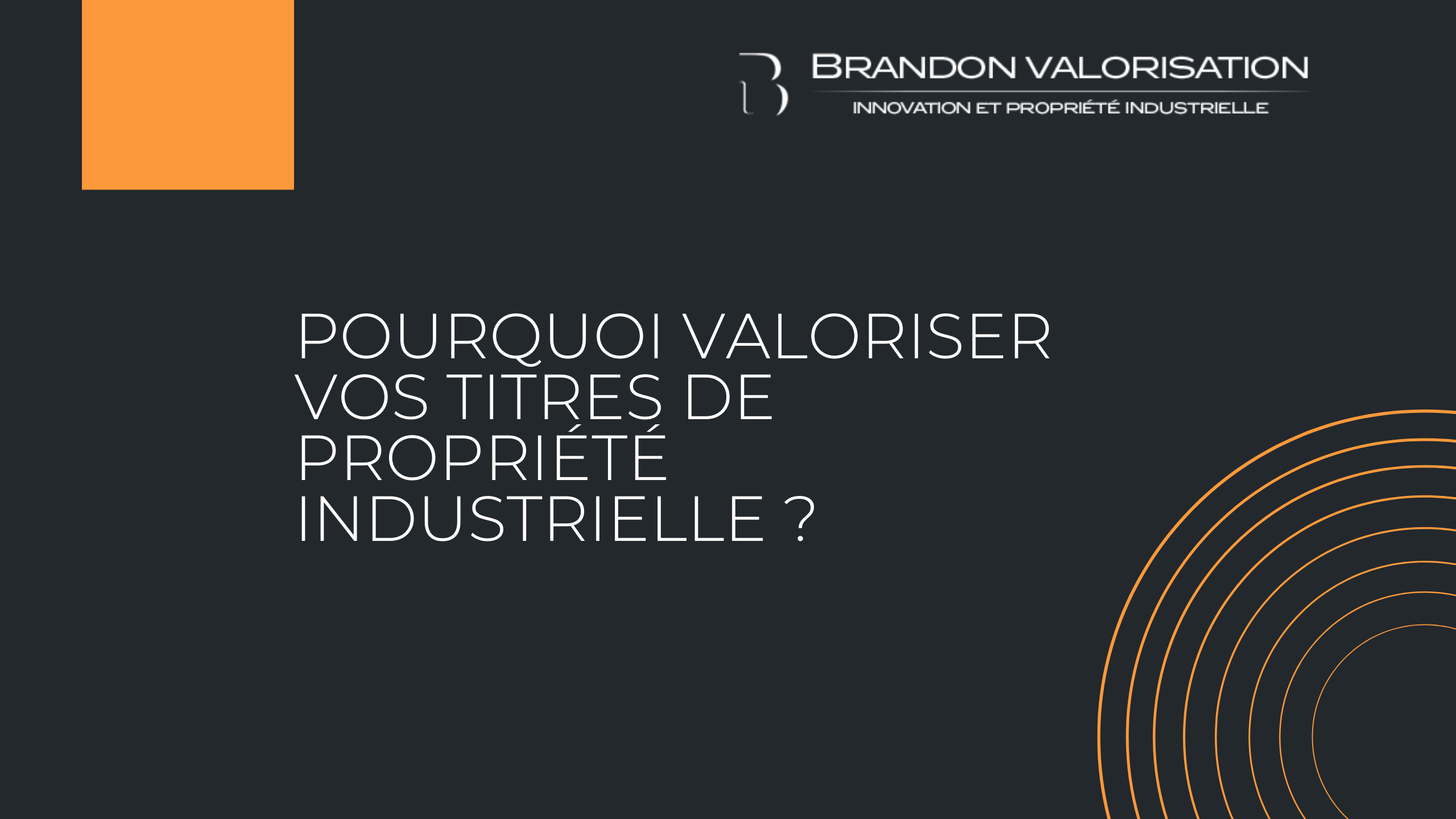 Pourquoi valoriser vos titres de PI-BRANDON VALORISATION conseil en innovation Paris France