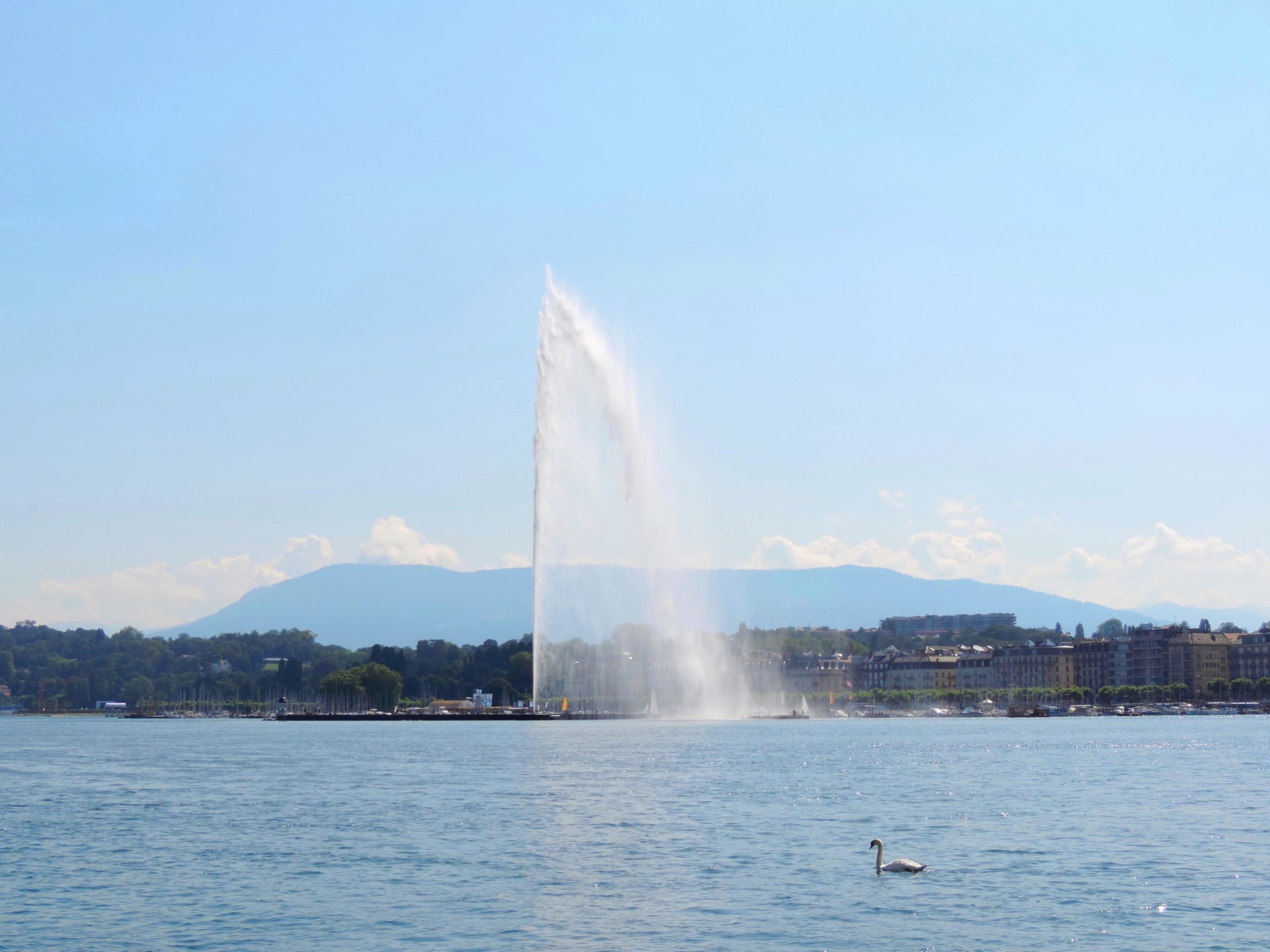 Le jet d'eau du lac à Genève
