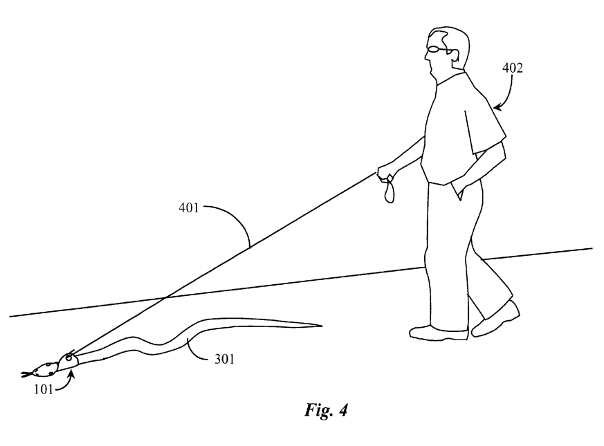 Illustration brevet US6490999 - The “leash for a snake”