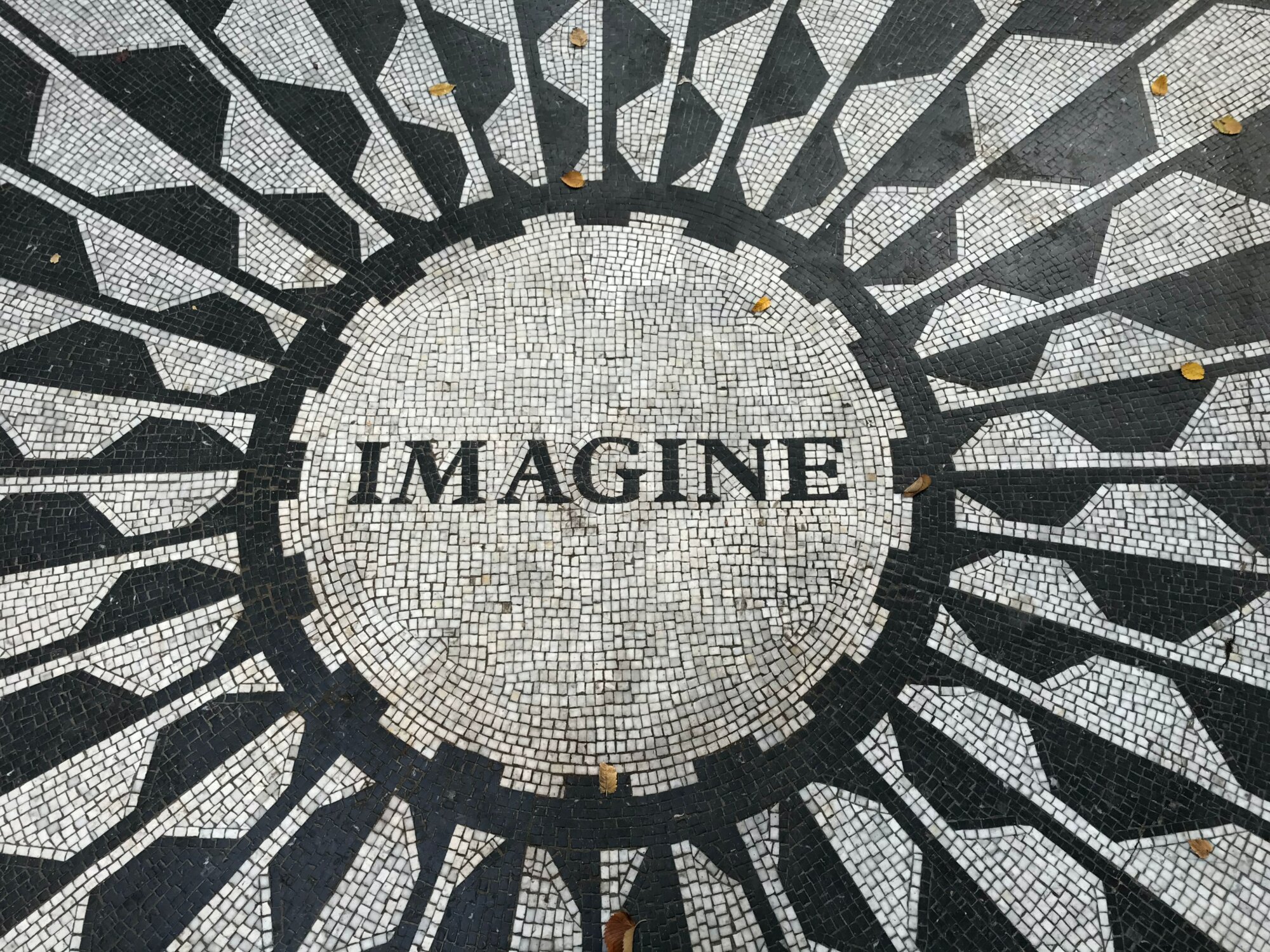 Imagine