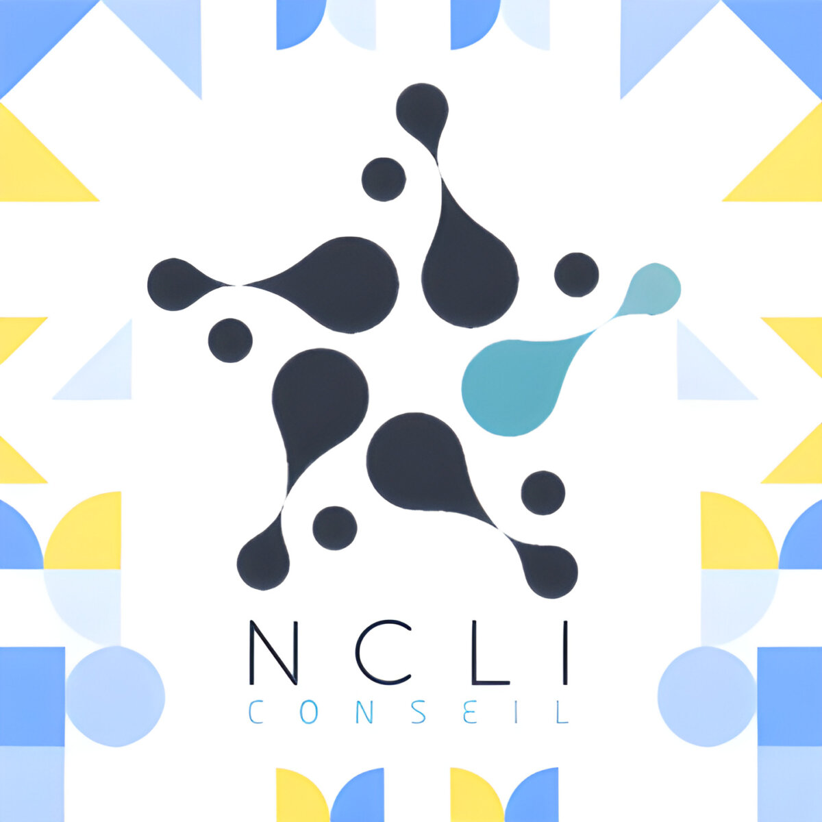 Our new partner, NCLI Conseils