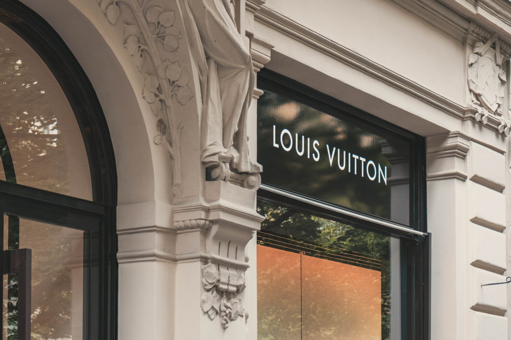 louis vuitton domain